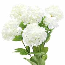 Sniego gniūžtės Viburnum šakelė balta 42,5 cm