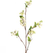 daiktų Dirbtinis žirnių krūmas snowberry L74cm