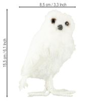 daiktų Snieguolė dekoratyvinė pelėda balta su kailiu ir plunksnomis 15,5 cm 2 vnt.