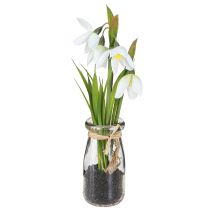 daiktų Snieguolės dirbtinės stiklinės dirbtinės gėlės baltos 22,5cm 2vnt