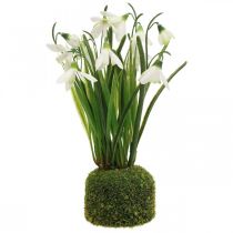 Dirbtinis putinas, dirbtinio putino gėlė 25cm