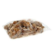 daiktų Juodųjų kankorėžių dekoratyvinių kankorėžių kremas 5-8cm 1kg