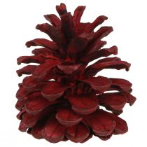 daiktų Juodieji kankorėžiai Bordo dekoratyviniai kankorėžiai raudoni 6-8cm 6 vnt