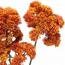 Sedum dirbtinė sedum oranžinė rudens puošmena 70cm 3vnt