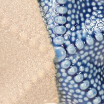 daiktų Starfish porcelianinis smėlio mėlynas stalo dekoravimas jūrinis Ø15cm 2vnt