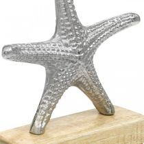 Metalinė jūrų žvaigždė, jūrinė apdaila, dekoratyvinė skulptūra sidabras, natūralios spalvos H18cm