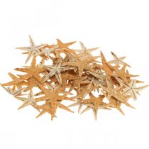 daiktų Jūrų žvaigždžių sklaidos dekoravimas home deco mini starfish nature 2-4cm 50p