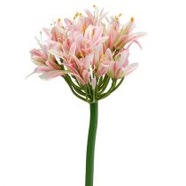 Šilkinė gėlė agapanthus rožinė 80cm