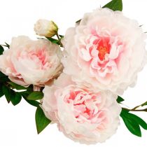 Dirbtinio bijūno šilko gėlė Šviesiai rožinė, balta 135cm