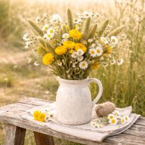 daiktų Džiovintos sorų (Setaria) gėlės kaimiškiems ir stilingiems namų aksesuarams 75 cm 220 g