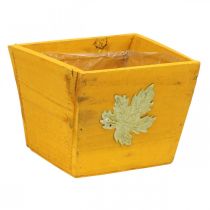 Augalų dėžutė medinė skurdi prašmatni medinė dėžutė geltona 11×14,5×14 cm