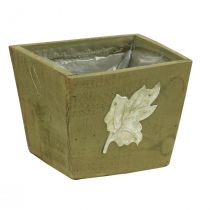Augalų dėžutė medinė skurdi prašmatni medinė dėžutė žalia 11×14,5×14 cm