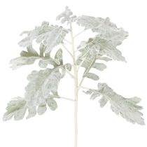 daiktų Dirbtinė Senecio šakelė (ragwort), įmantriai pagaminta, 45 cm, 3 dalys