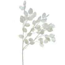 Dekoratyvinė šakelė sidabro lapelis balta Lunaria šakelė dirbtinė šakelė 70cm