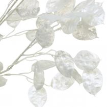 Dekoratyvinė šakelė sidabro lapelis balta Lunaria šakelė dirbtinė šakelė 70cm