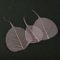 daiktų Skeletiniai lapai Bodhi lapai skeletuoti violetiniai 5-15cm 200 vnt.