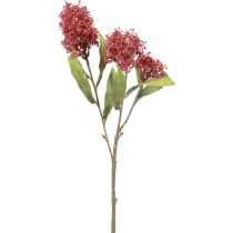 daiktų Skimmie Skimmia Japonica Dirbtinės gėlės Burgundy DryLook L59cm