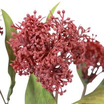 daiktų Skimmie Skimmia Japonica Dirbtinės gėlės Burgundy DryLook L59cm