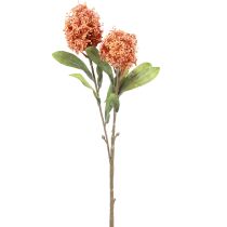 daiktų Skimmie Skimmia Japonica Dirbtinės gėlės Orange DryLook L59cm