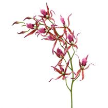 Orchidėjos voras rožinė-oranžinė 108cm 3vnt