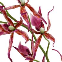 Orchidėjos voras rožinė-oranžinė 108cm 3vnt