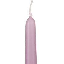 Kūginės žvakės Wenzel žvakės alyvinė 250/23mm 12vnt