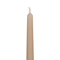 Kūginės žvakės Wenzel žvakės smėlio spalvos 250/23mm 12vnt