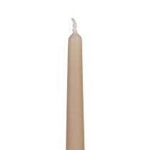 Kūginės žvakės Wenzel žvakės smėlio spalvos 250/23mm 12vnt