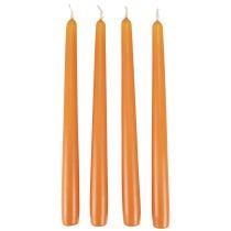 Kūginės žvakės Wenzel žvakės oranžinės 250/23mm 12vnt