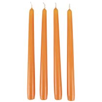 daiktų Kūginės žvakės Wenzel žvakės oranžinės 250/23mm 12 vnt