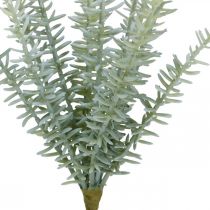 Sprengerie Dekoratyviniai šparagai Dirbtiniai augalai Žali 23cm 4vnt