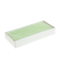 daiktų Kūginės žvakės vienspalviai žalios spalvos​​​​​​​ 21×240mm 12 vnt