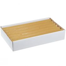 daiktų Kūginės žvakės vienspalvės žvakės medaus 21×240mm 12 vnt