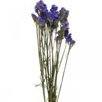 daiktų Jūros levandų ryšelis, džiovintos gėlės, jūros levandos, Statice Tatarica Blue L46–57cm 23g