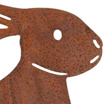 daiktų Velykų zuikučio sodo kuolas, pagamintas iš metalo, stilingai pavasarinei dekoracijai lauke, 80 cm, 4 dalys