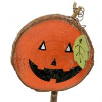 Kištukas moliūgas gamtos, oranžinis 8cm 12vnt