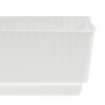 Kištukinis padėklas šlapias putplastis 23 x 8 x 4,5 baltas 10 vnt