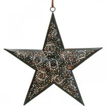 daiktų Kalėdinė kabykla star metal star black H25.5cm