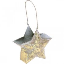daiktų Dekoratyvinės žvaigždės metalas kabinimui ir dekoravimui Golden Ø13cm