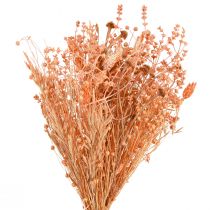 daiktų Džiovintų gėlių puokštė oranžinė abrikosų sausa puokštė 45cm 80g