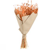 daiktų Boho džiovintų gėlių puokštė, oranžinė ir abrikosinė, dekoratyvinė, 45 cm, 80 g