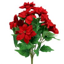 daiktų Puokštė Poinsettia Red L47cm