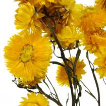 Džiovintų gėlių geltona šiaudinė gėlė Helichrysum sausa dekoravimo kekė 50cm 45g