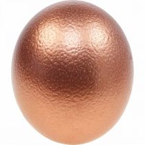 daiktų Stručio kiaušinio puošmena išpūsta Velykų puošmena varinė Ø12cm H14cm