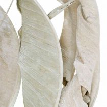 Strelicijų lapai nuplauti baltai džiovinti 45-80cm 10vnt