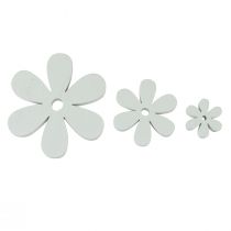 Taškinė apdaila medinė stalo puošmena baltos gėlės Ø2cm–6cm 20vnt