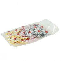 daiktų Taškinė dekoracija boružėlės gėlių medžio veltinio spalva Ø4cm 48 vnt