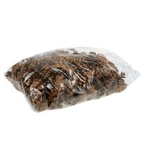 daiktų Strobus kūgiai 10-15cm dažyti 100 vnt