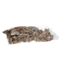 daiktų Strobus kūgiai 15 - 20cm dažyti 100 vnt