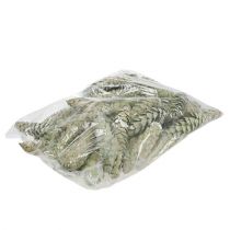 daiktų Strobuso kūgių dekoracijos obuolių žalios, baltos, nuplautos, 15-20 cm, 50 vnt.